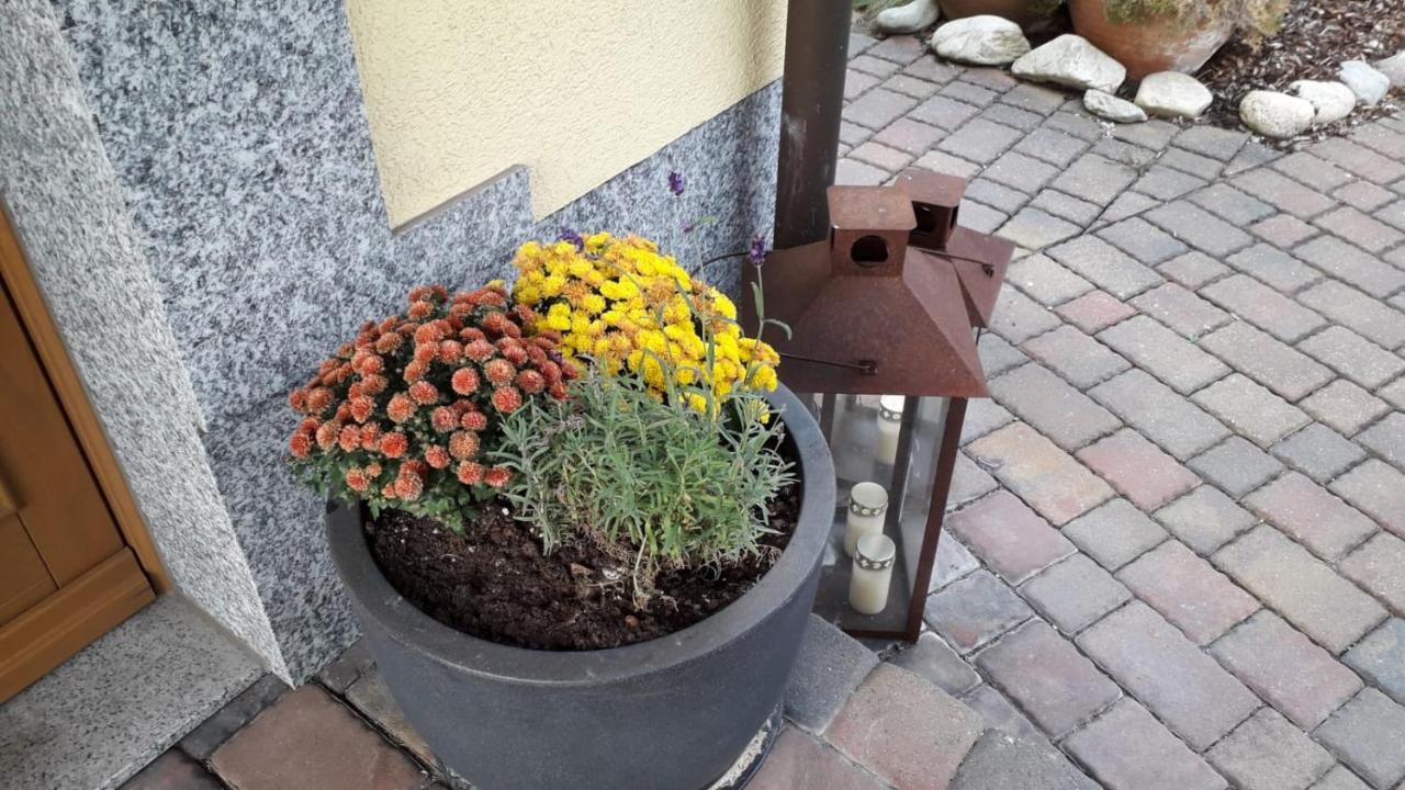 Ferienwohnung Leipzig Land Naunhof Dış mekan fotoğraf